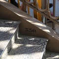 IMG 3455
