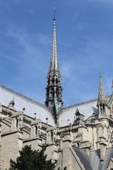 IMG 3535